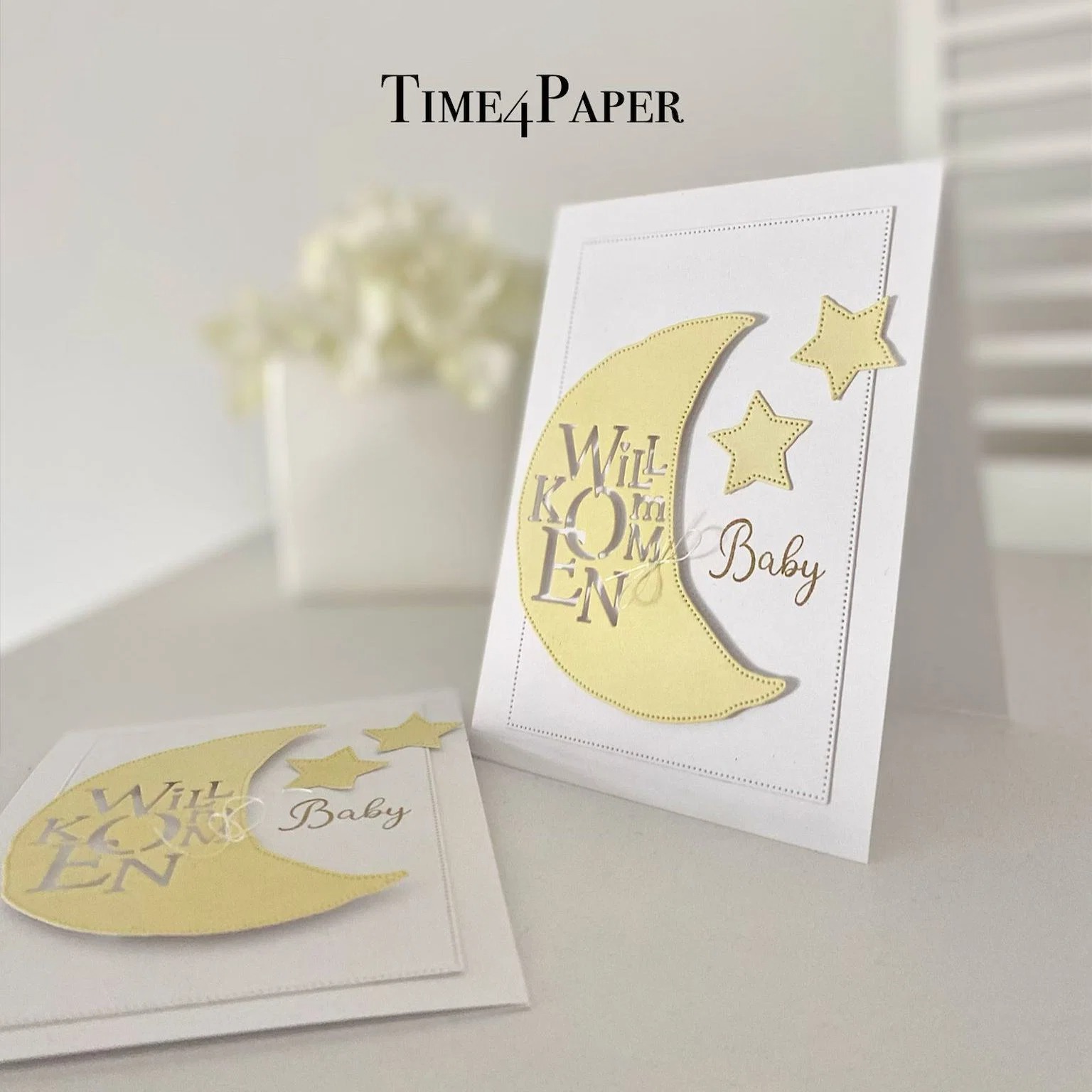 Baby-Koffer-Stempel und -Schab – Baby Food Recipes Bewertung und Preis